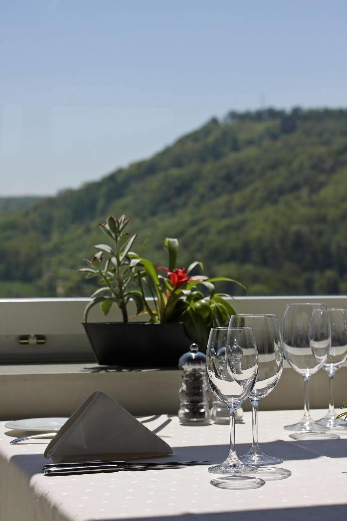 Wellness Hotel Tenedo - Thermalquellen Resort Bad Zurzach 외부 사진